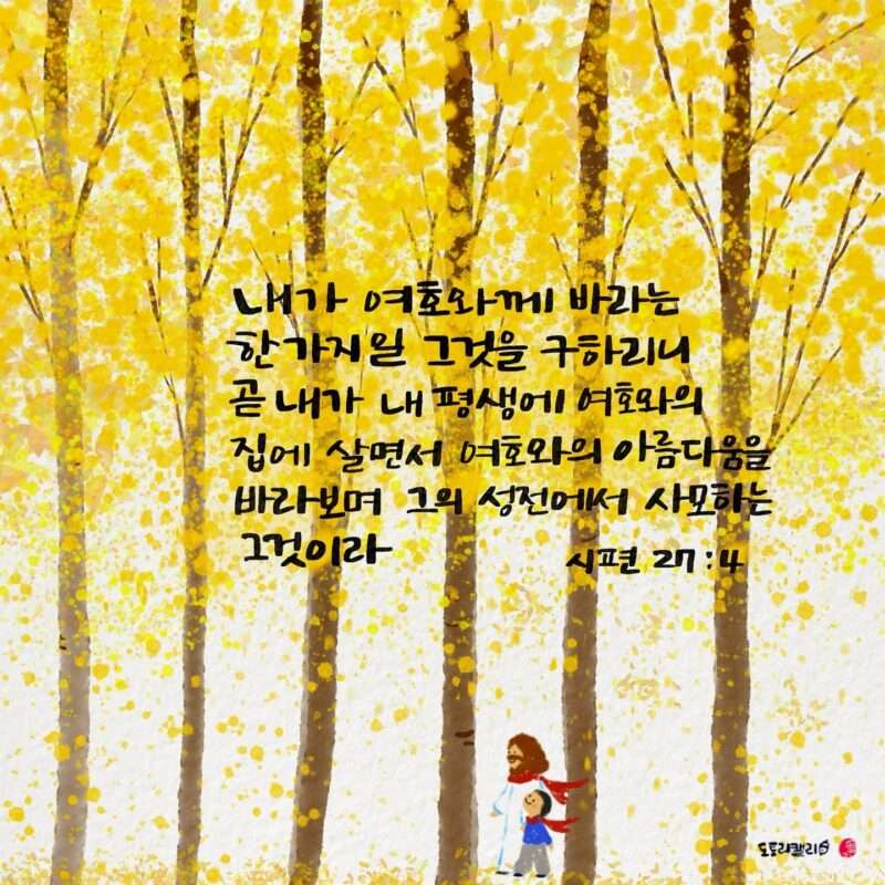 1732492142 Kakaotalk 20241125 082422442