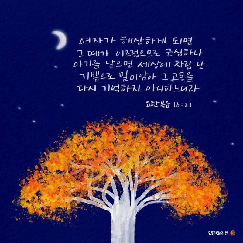 1732663411 Kakaotalk 20241127 081633199