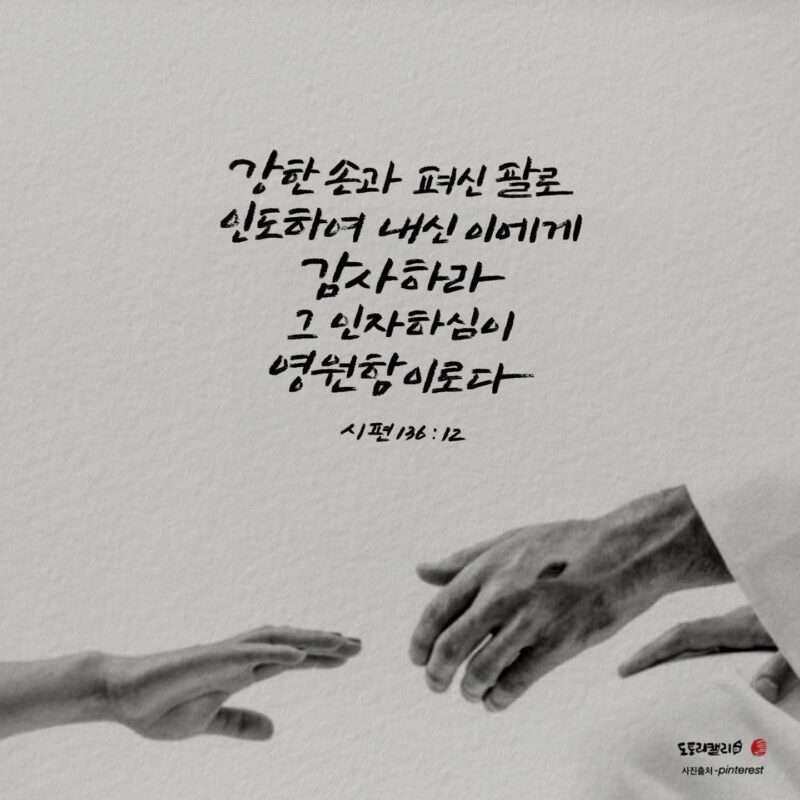 1732756702 Kakaotalk 20241128 090745949