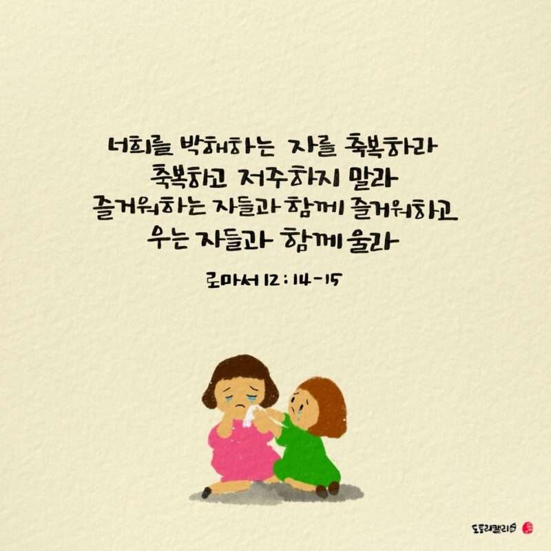 1732921415 Kakaotalk 20241130 074834479