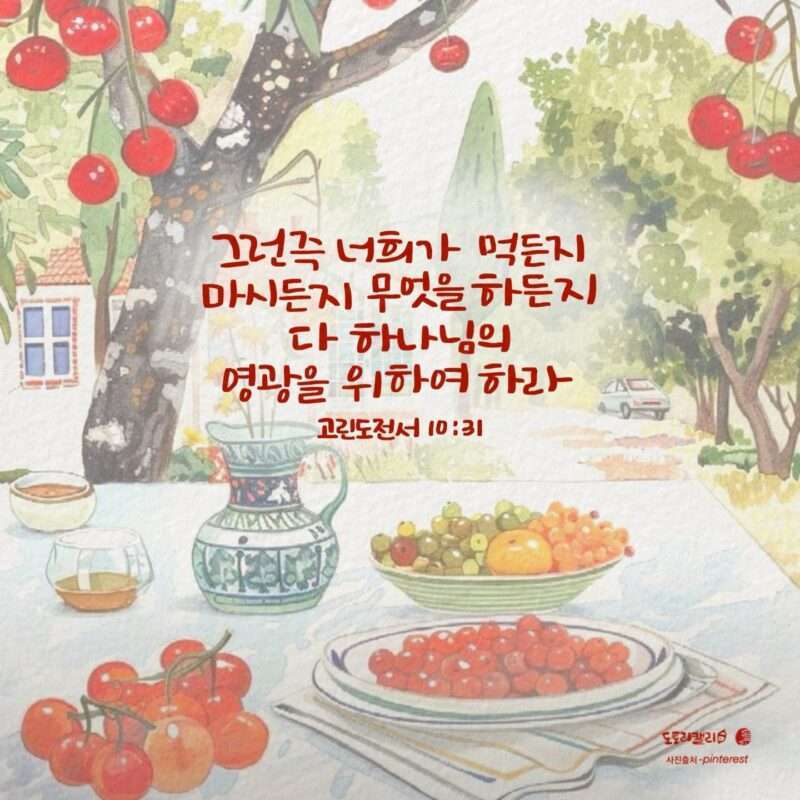 1733612777 Kakaotalk 20241208 074001548