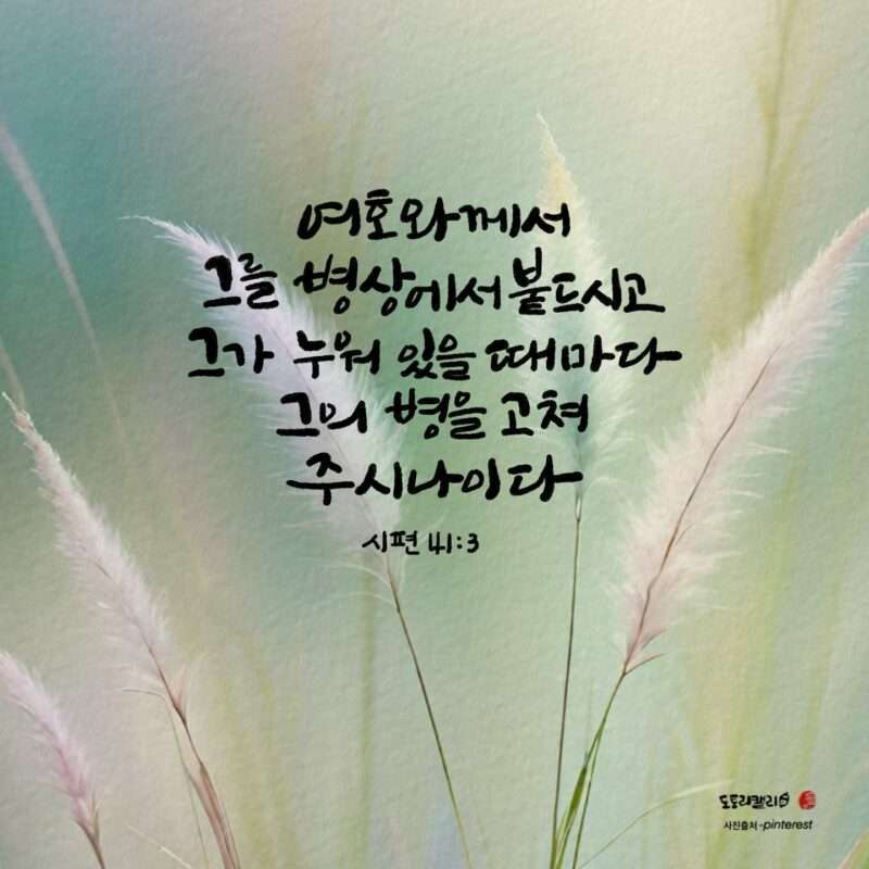 1734086076 Kakaotalk 20241213 081706680