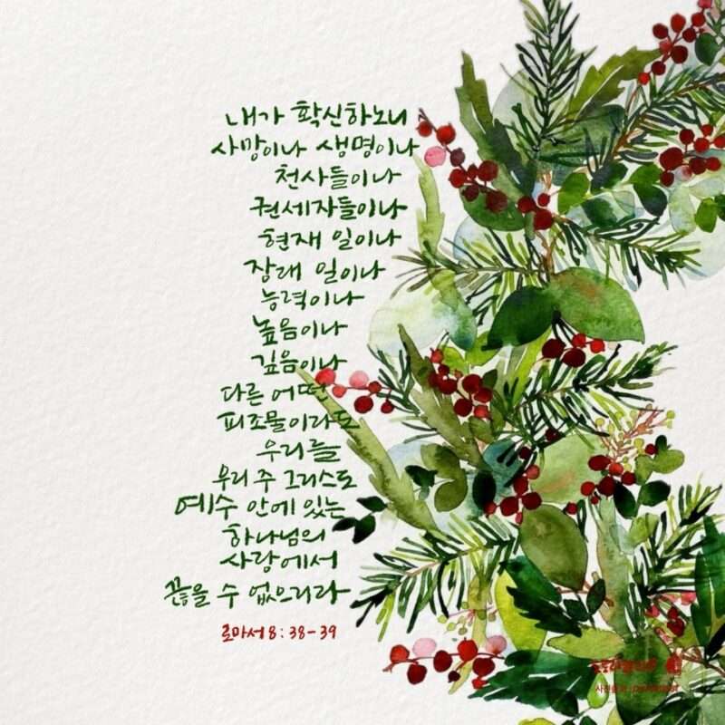 1736151014 Kakaotalk 20241222 091411337