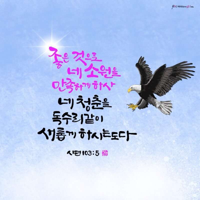 1736555560 Kakaotalk 20250111 081153915