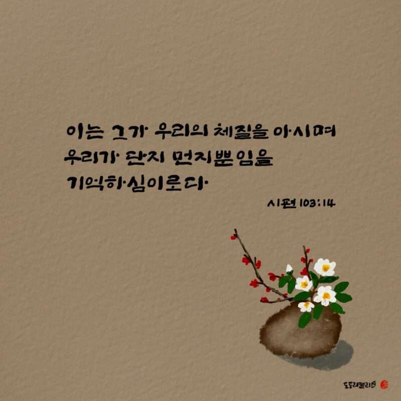 1736904174 Kakaotalk 20250114 073149085