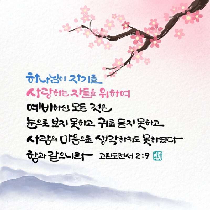1737073136 Kakaotalk 20250117 085935795