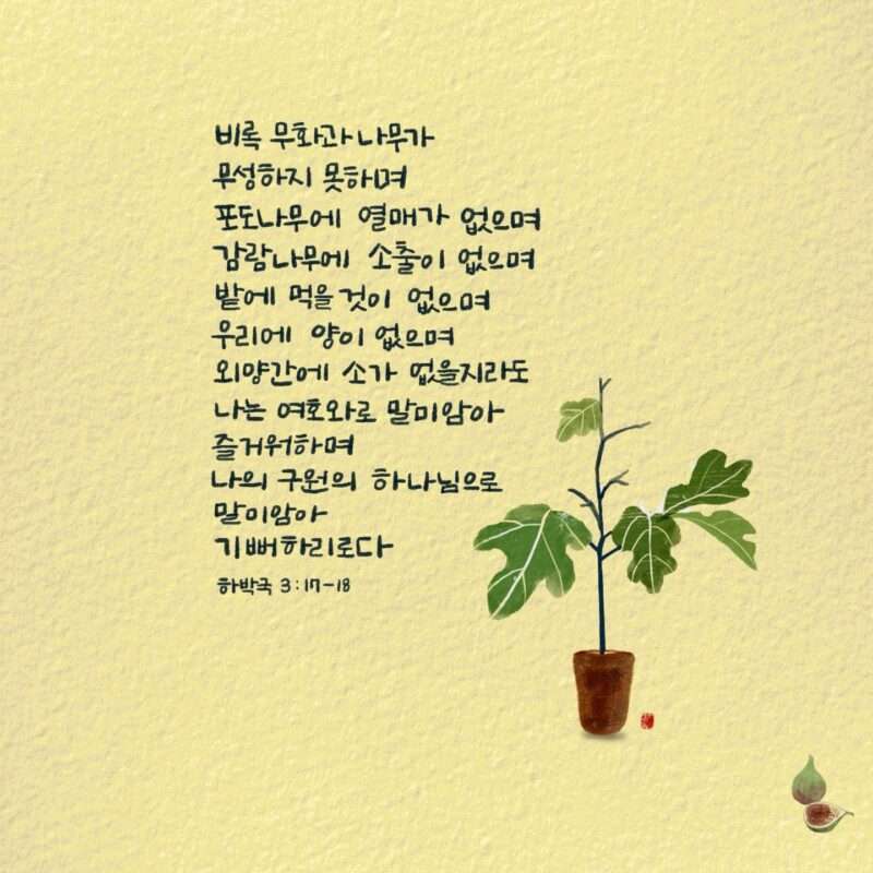 1737244075 Kakaotalk 20250119 072417195