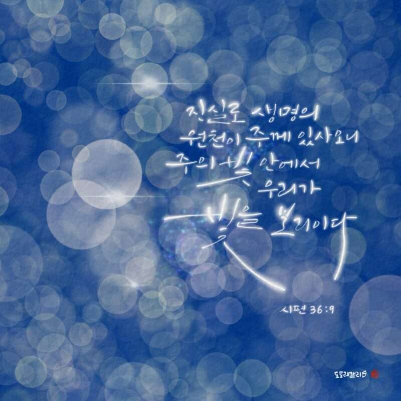 1737417342 Kakaotalk 20250121 080221111