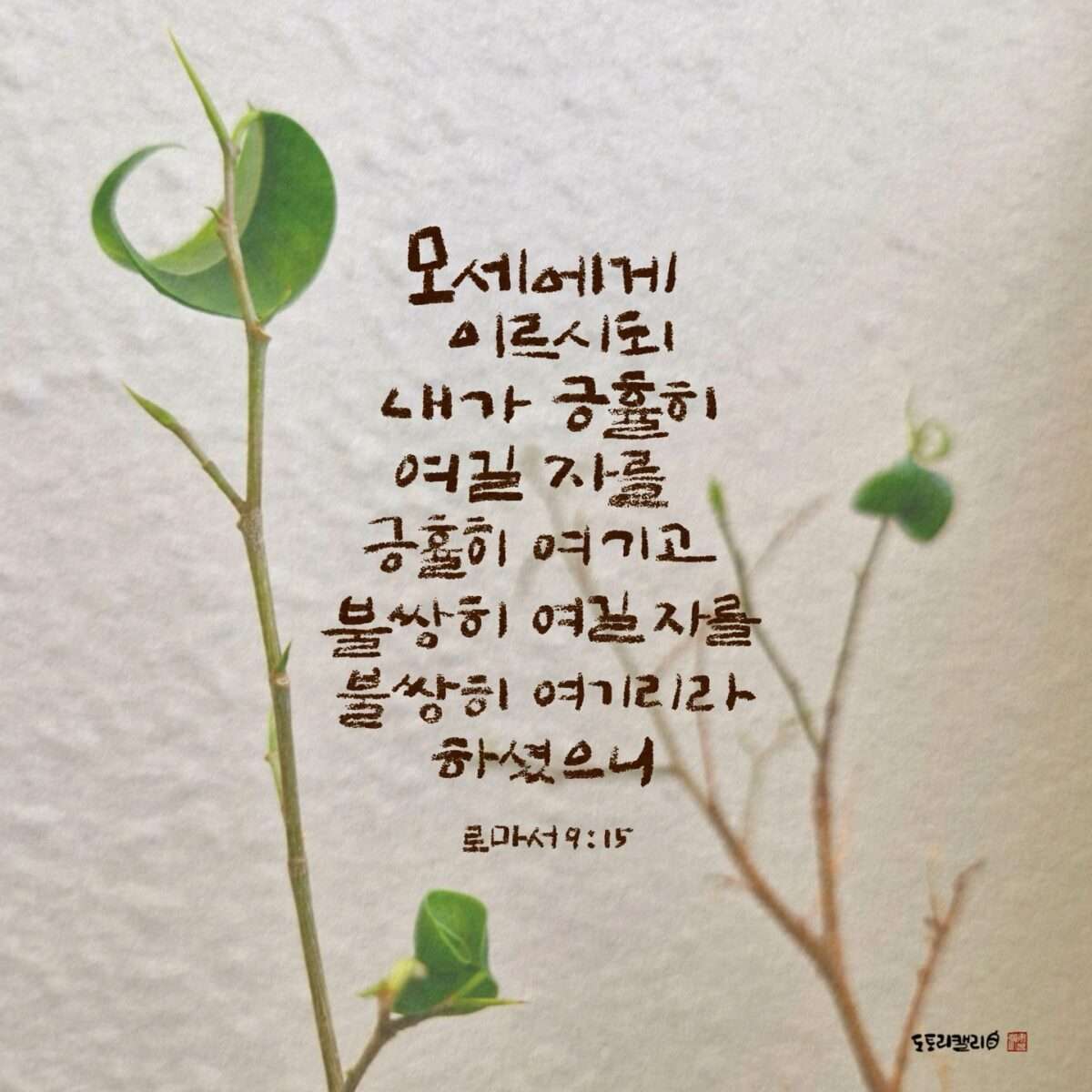1743634106 Kakaotalk 20250403 071218913