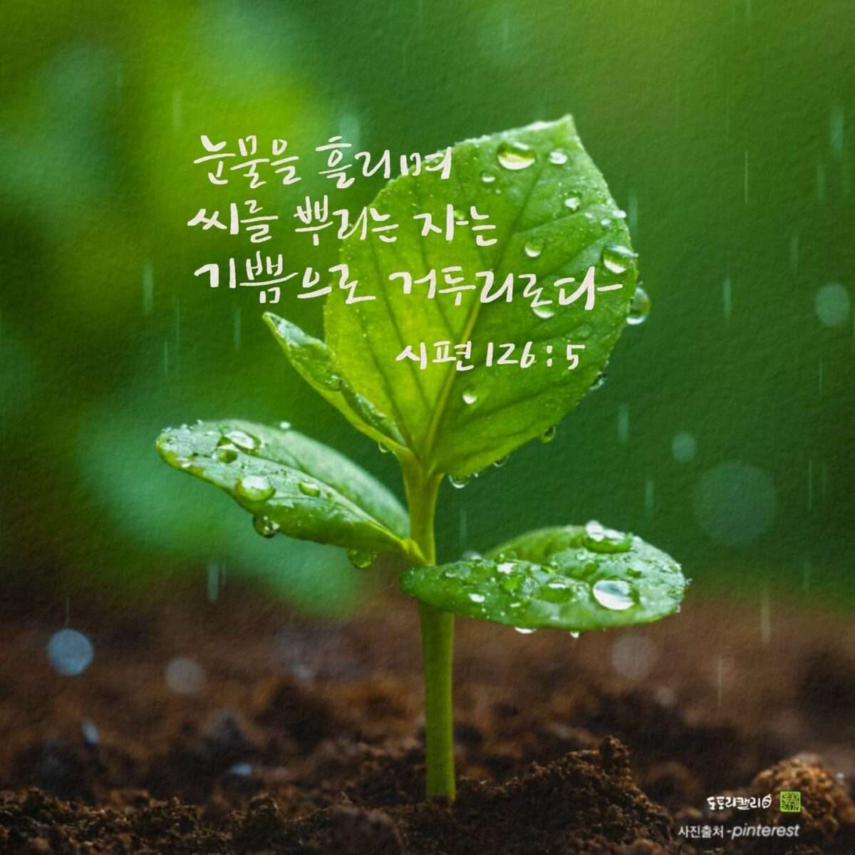 1743809745 Kakaotalk 20250405 081306697