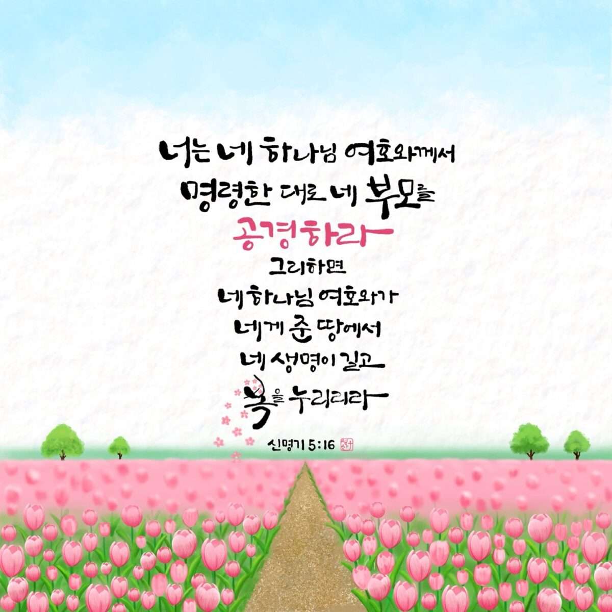 Kakaotalk 20250508 070859527