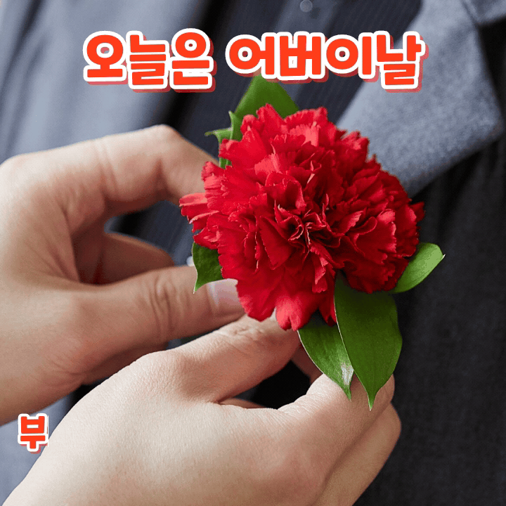 새 아침의 기도 14 Kakaotalk 20250508 074404657