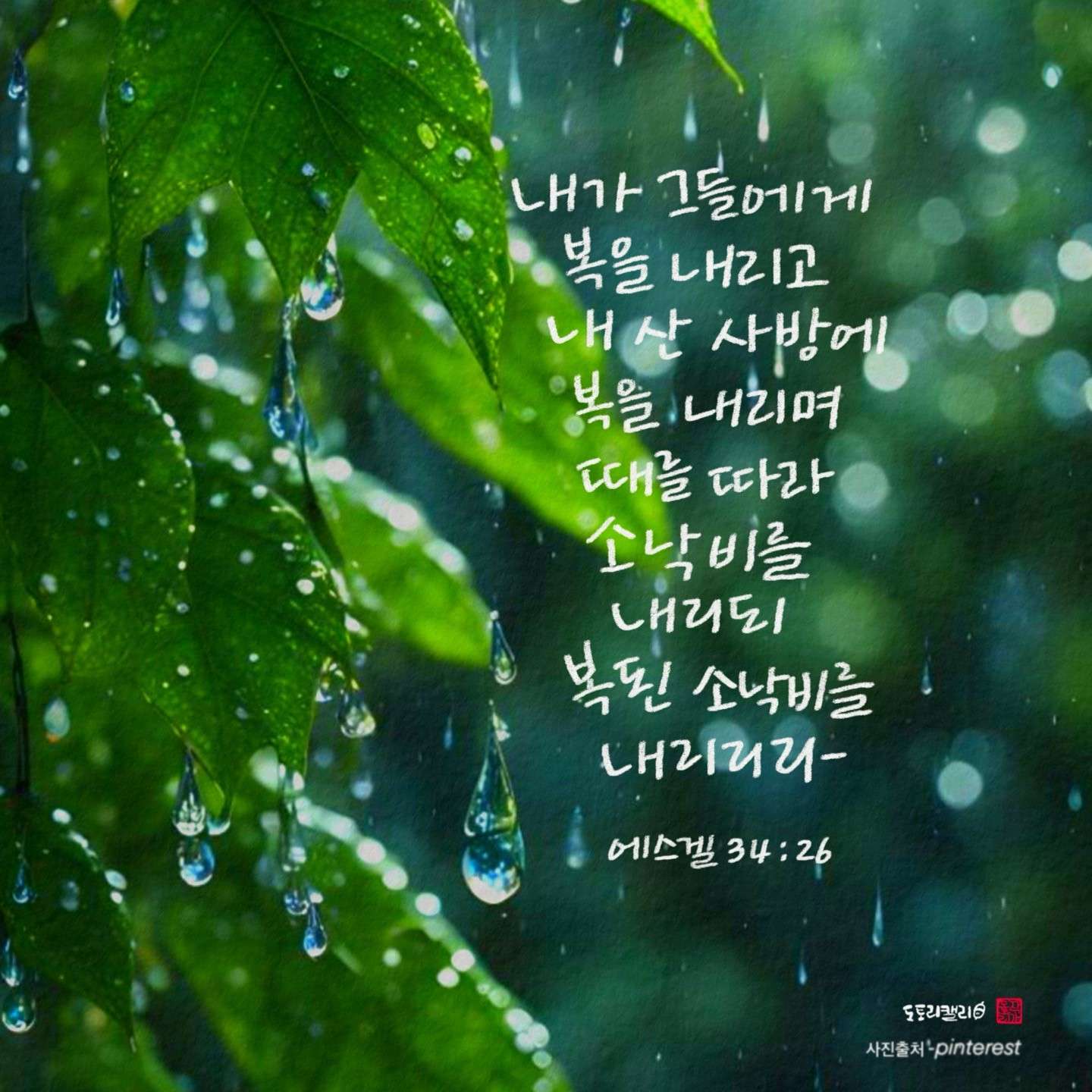 새 아침의 기도 19 겔34장26절
