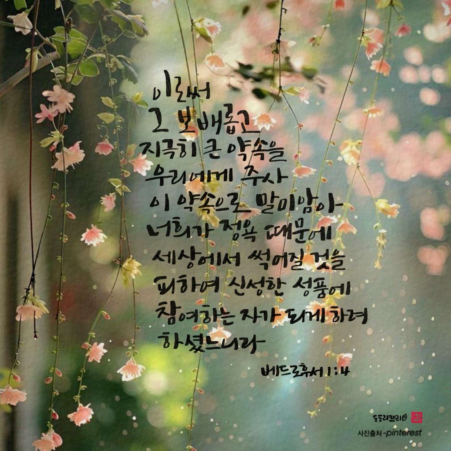 새 아침의 기도 16 벧후1장4절