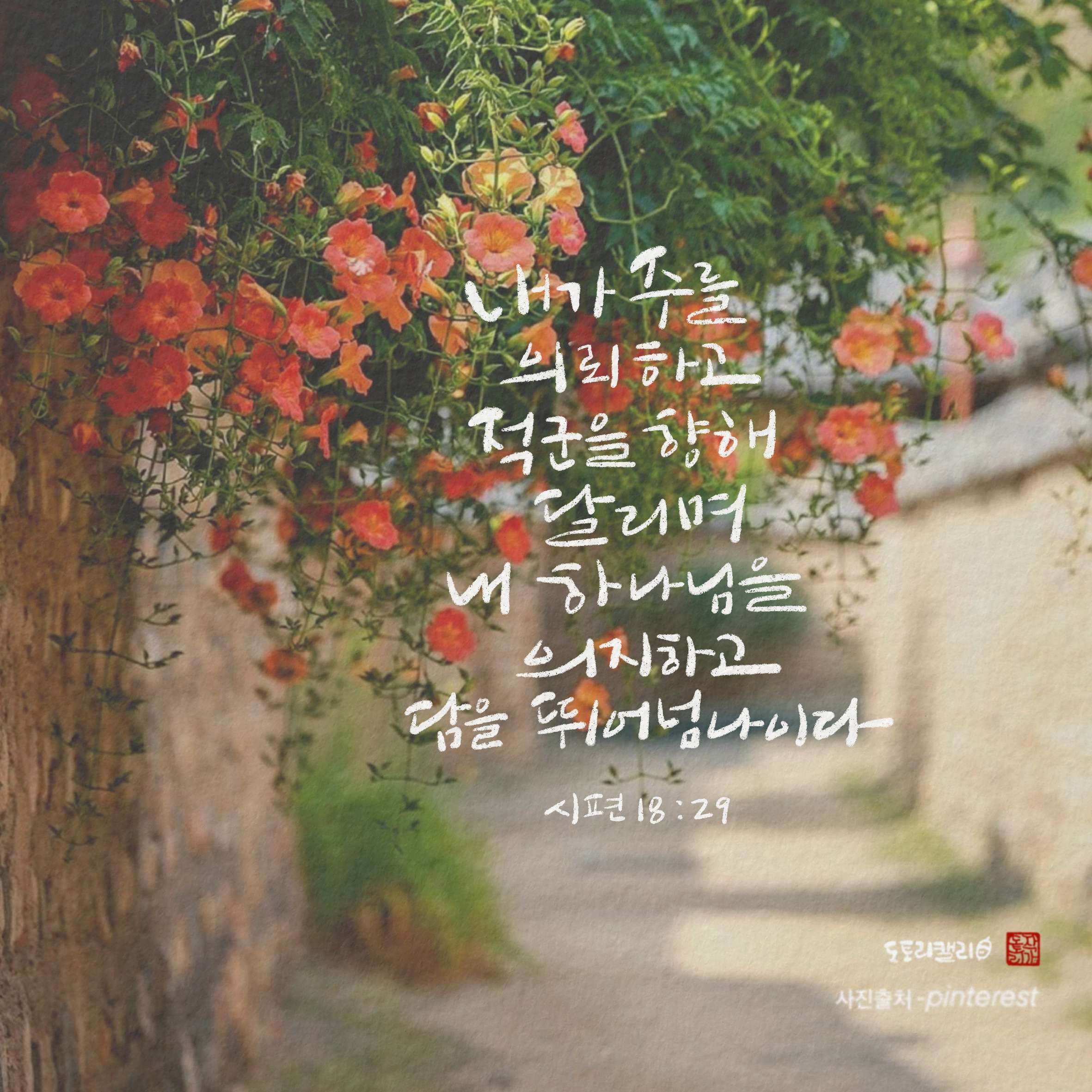 새 아침의 기도 5 시편18편29절